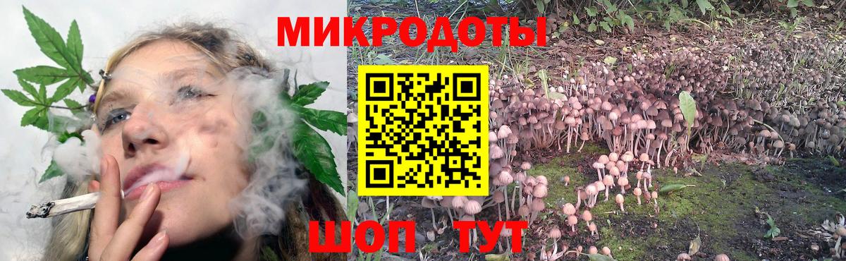 Галлюциногенные грибы ЛСД  Вход с VPN  Ноябрьск 